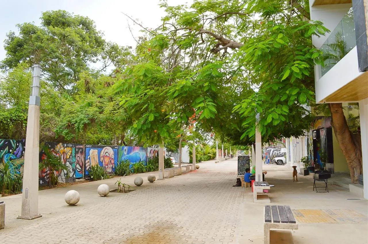 Brand New! Fully Equipped Studio Right On 5Th Ave Apartment Playa del Carmen 0*,  Mexico